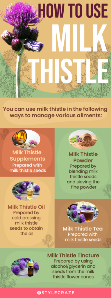 Is Milk Thistle Good for Weight Loss
